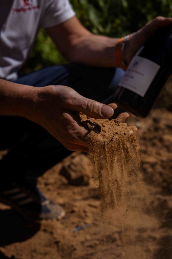 La Guía Peñín otorga 99 puntos a un exclusivo vino soriano y desata un terremoto en el enoturismo nacional 3 Foto Vinedos 3