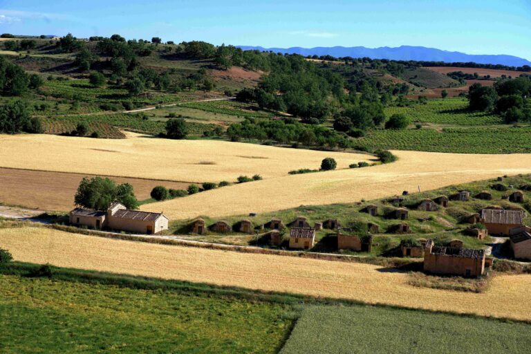 La Guía Peñín otorga 99 puntos a un exclusivo vino soriano y desata un terremoto en el enoturismo nacional 47 Foto Vinedos Atauta