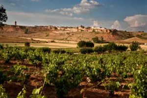 De un valle de Soria a conquistar Londres: el éxito del vino de cepas de 170 años que alucina a los expertos