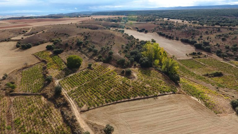 La Mala de Dominio de Atauta alcanza los 99 puntos Parker y se sitúa en la cumbre del vino español 2 Foto Vinedos La Mala