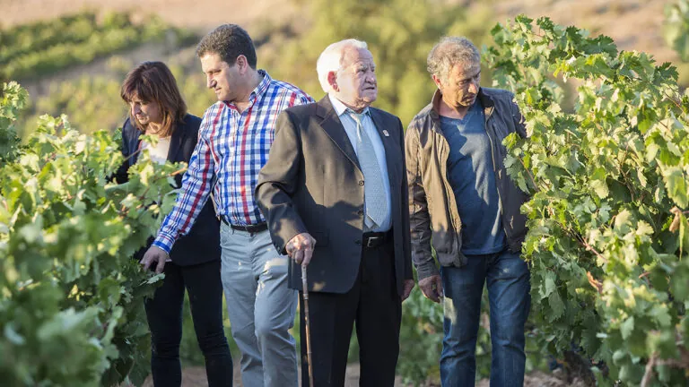 Así nació ValSotillo: de transportar vino a fundar una bodega histórica en la Ribera