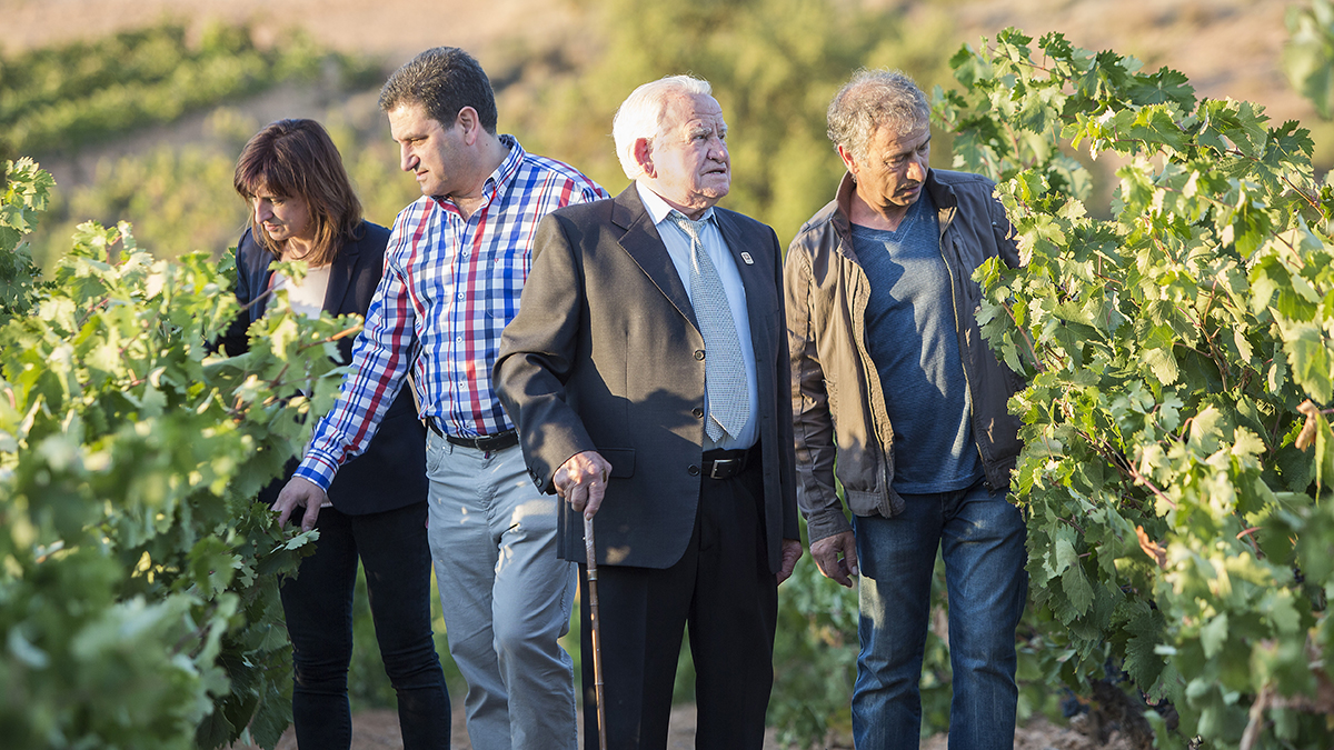 Así nació ValSotillo: de transportar vino a fundar una bodega histórica en la Ribera 1 Foto familia Bodegas Ismael Arroyo