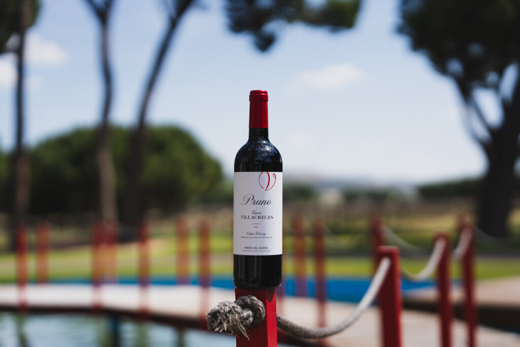 Pruno 2023 estrena imagen: el vino de los 14 euros que Robert Parker coronó como el mejor de España 3 Pruno 2023