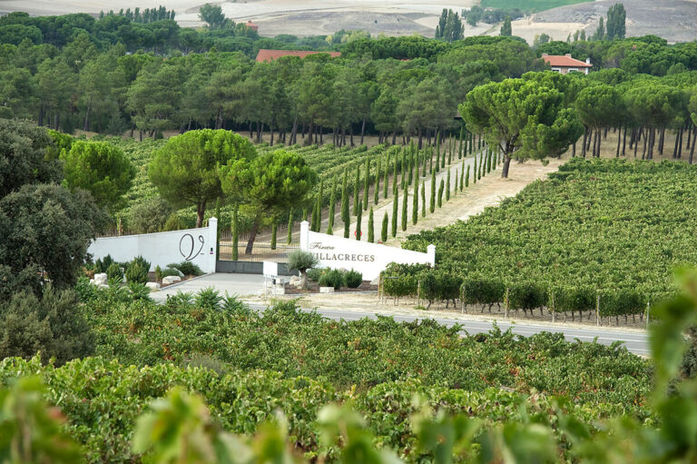 La revolución sostenible de Finca Villacreces: el Pruno 2022 que todos quieren probar 16 Finca Villacreces