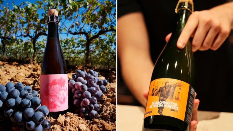 Tu vino favorito revela la cerveza perfecta para ti 58 GHGCILDRC5BIBHMWDHRPA7HLVM