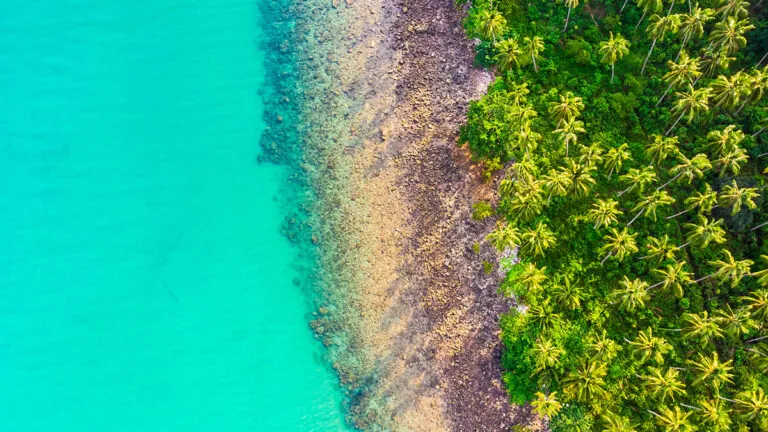 Qué ver en las islas Mauricio: mucho más que playas de lujo en el jardín secreto del Índico 6 Qué ver en las islas Mauricio: mucho más que playas de lujo en el jardín secreto del Índico