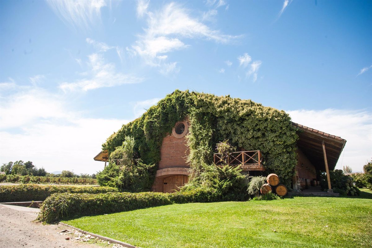 IWCA presenta calculadora de emisiones para bodegas en América Latina 1 IWCA presenta calculadora de emisiones para bodegas en America Latina