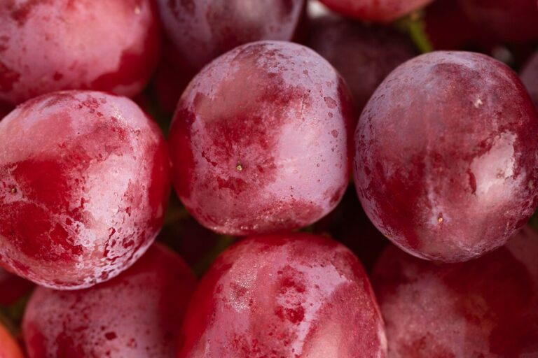 El ‘vino de hielo’: El tesoro de los países fríos que conquista paladares exigentes 57 Icewine
