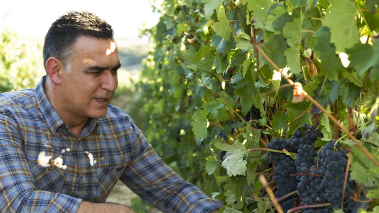 Bodegas Vallobera: 2.000 barricas y un viñedo a 680 metros en Rioja Alavesa
