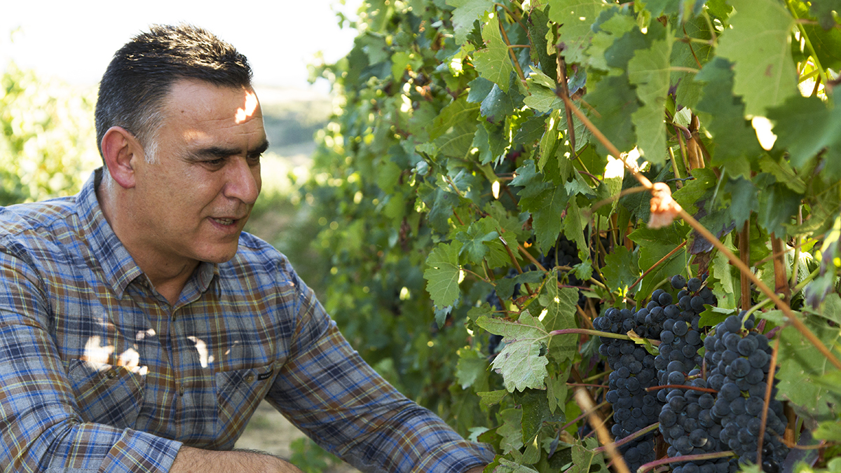 Bodegas Vallobera: 2.000 barricas y un viñedo a 680 metros en Rioja Alavesa 1 Javier San Pedro Randez