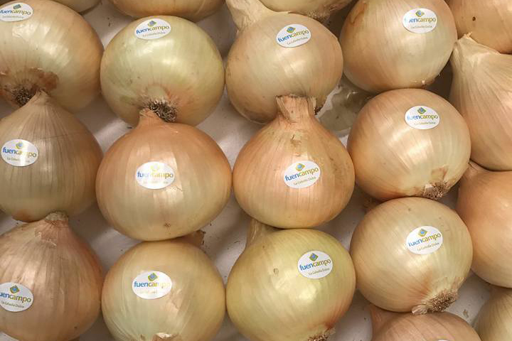 Cariñena celebra la I Jornada Gastronómica de la Cebolla Dulce Fuencampo