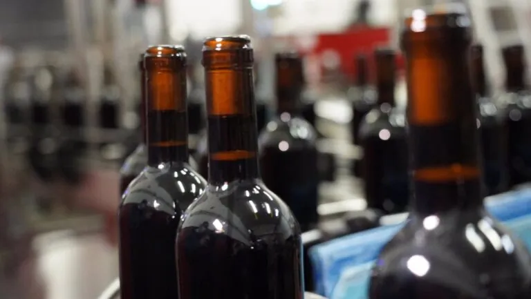 La DO La Mancha comercializa 60 millones de botellas en 2024