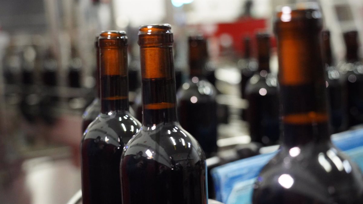 La DO La Mancha comercializa 60 millones de botellas en 2024 1 La DO La Mancha comercializa 60 millones de botellas en