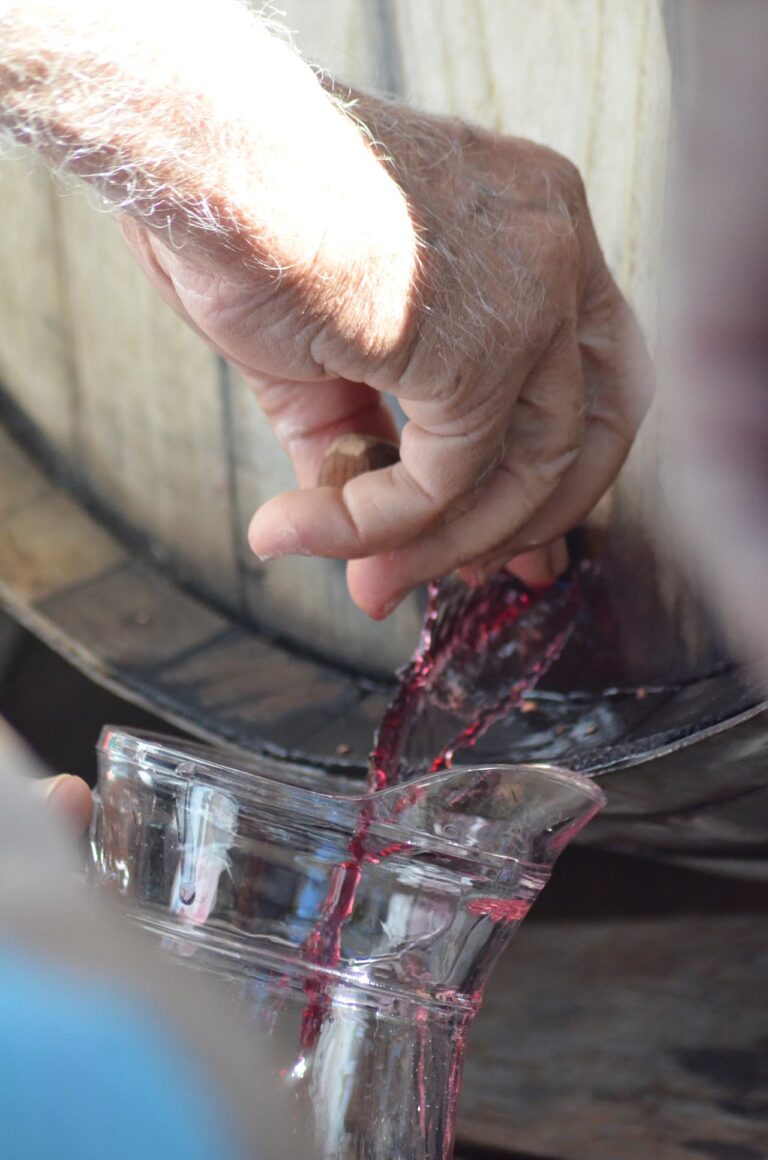 La Jura de la Pipa celebra el vino nuevo en Fuencaliente el 9 noviembre 16 La Jura de la Pipa celebra el vino nuevo en