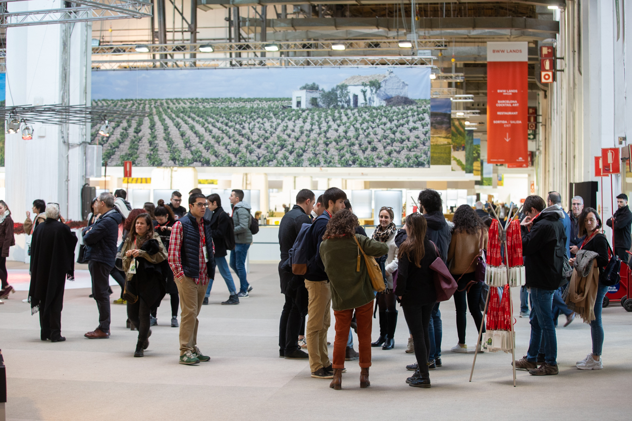 La Mancha irrumpe en la Barcelona Wine Week 2025: calidad, prestigio y muchas sorpresas 1 La Mancha presenta sus vinos en la Barcelona Wine Week