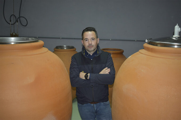La Niña de Cuenca, bodega y viñedos propios