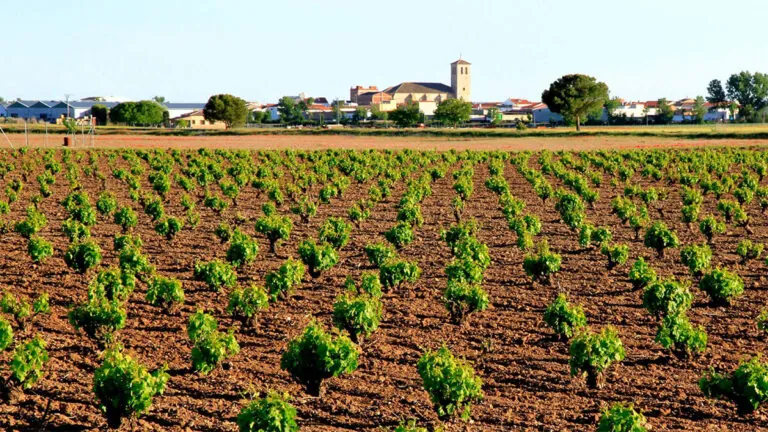 Portada principal 32 La Ruta del Vino de La Mancha