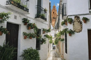 La calle más pequeña de España está en Córdoba: mide solo 50 cm y esconde el secreto de la uva Pedro Ximénez
