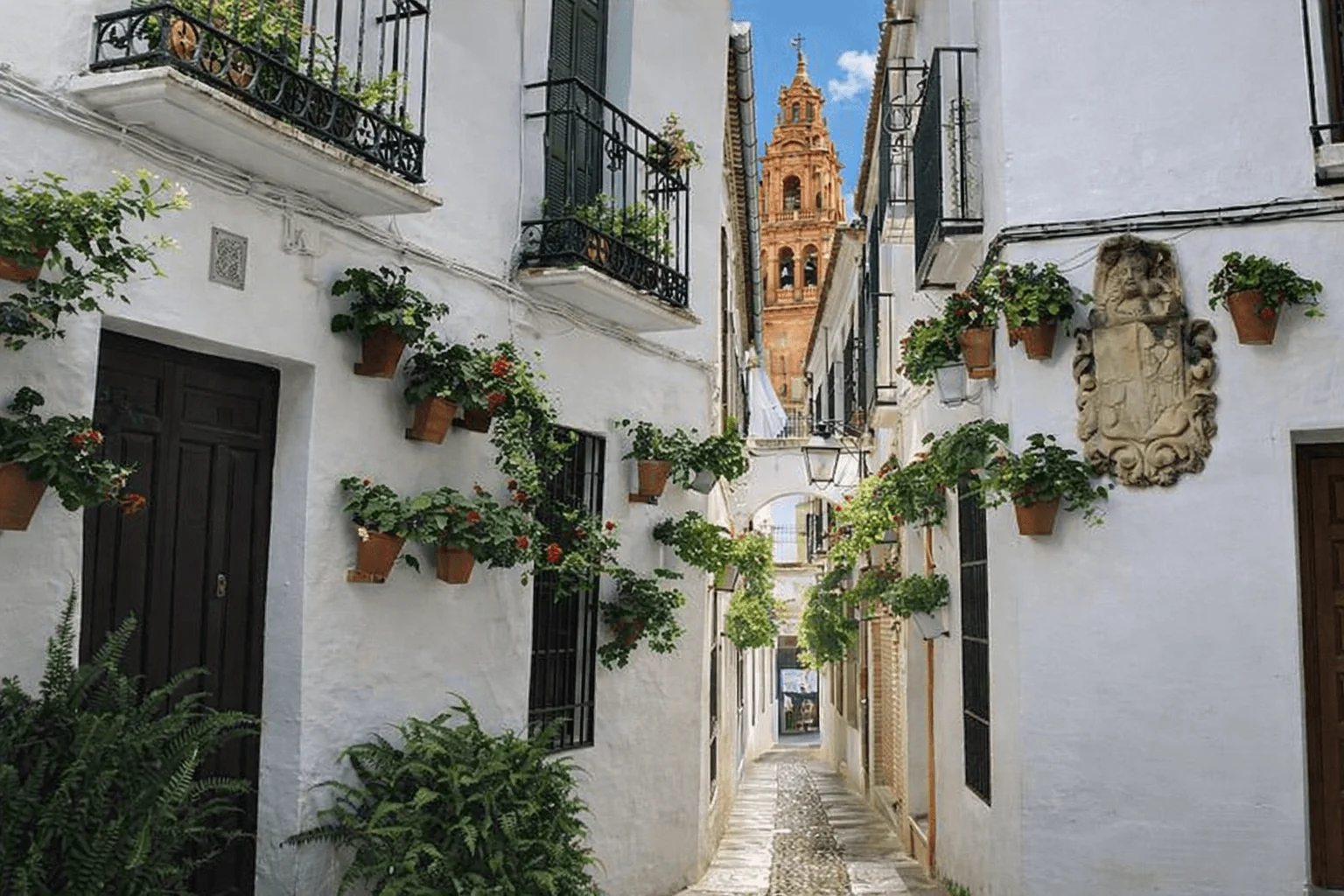 La calle más pequeña de España está en Córdoba: mide solo 50 cm y esconde el secreto de la uva Pedro Ximénez 1 La calle más pequeña de España está en Córdoba: mide solo 50 cm y esconde el secreto de la uva Pedro Ximénez