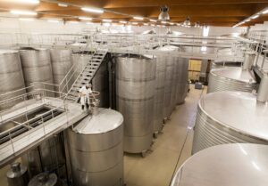 La evolución de la D.O. Rías Baixas y sus innovaciones en vinos 13 La evolucion de la DO Rias Baixas y sus innovaciones