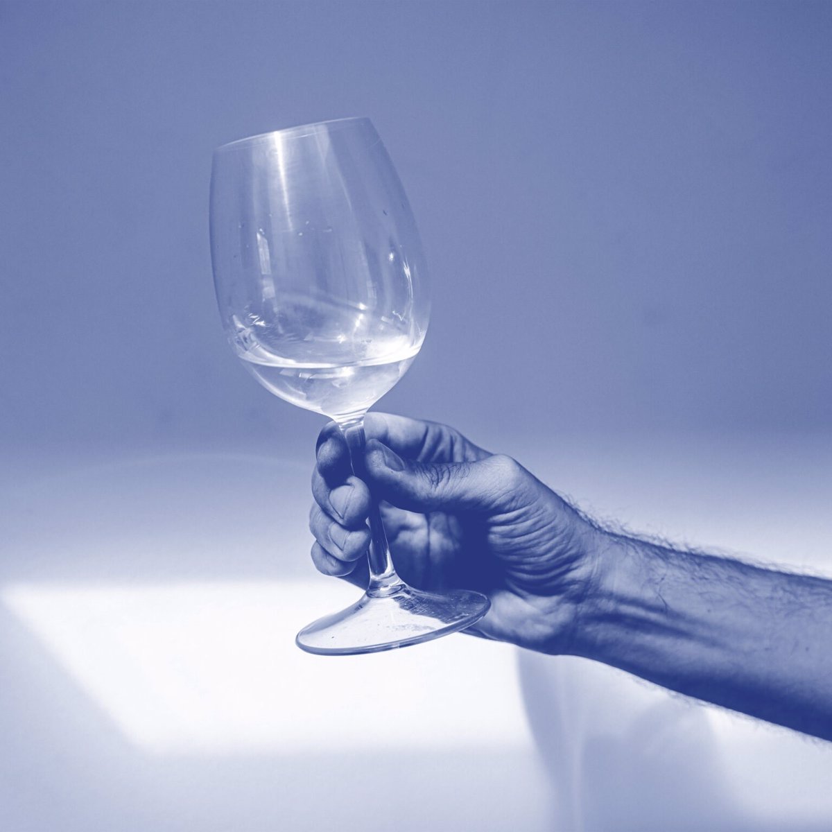 Las mejores bodegas de España se dan cita en Madrid este puente 1 Las mejores bodegas de Espana se dan cita en Madrid