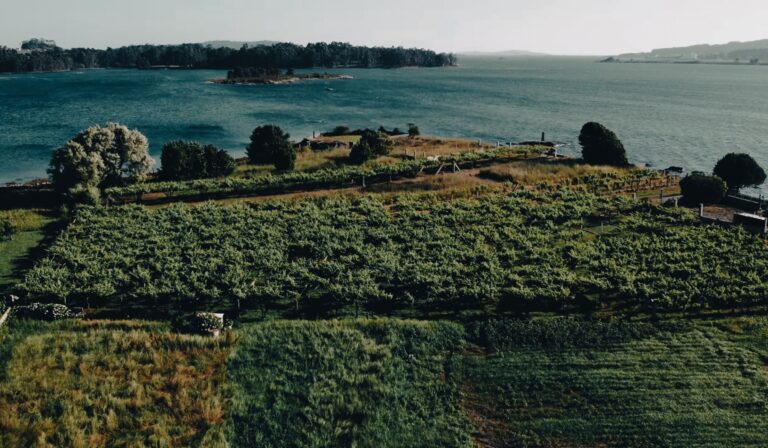 Arrasan en la Barcelona Wine Week: los vinos de Rías Baixas dejan en shock a los expertos 24 Los vinos atlanticos de Rias Baixas brillan en la Barcelona