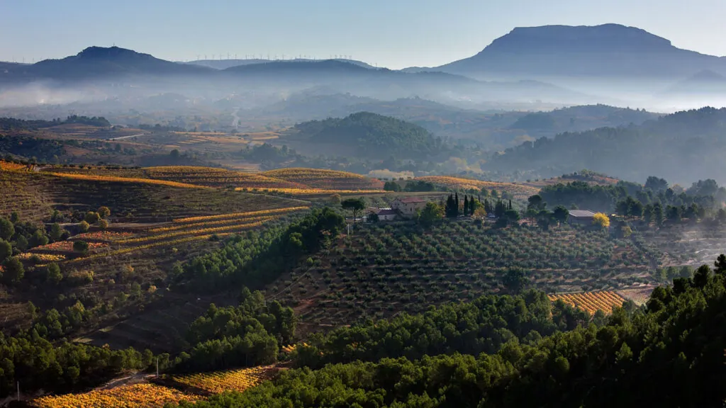 Mas d’en Gil, la histórica bodega del Priorat que aspira a jugar en la Champions del vino 4 MAS den GIL Vista aerea de la finca
