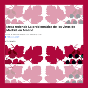 Mesa redonda en Madrid sobre la problemática del vino local hasta 2025 12 Mesa redonda en Madrid sobre la problematica del vino local