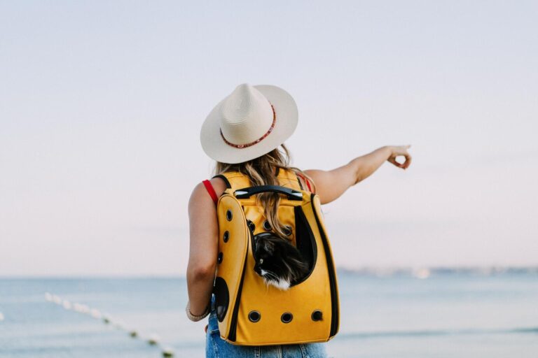 Saborea España destaca en Madrid Fusión: mesas redondas sobre pesca y turismo 4 Mesas redondas sobre pesca y turismo gastronómico