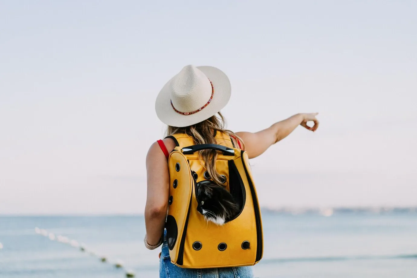 Saborea España destaca en Madrid Fusión: mesas redondas sobre pesca y turismo 1 Mesas redondas sobre pesca y turismo gastronómico