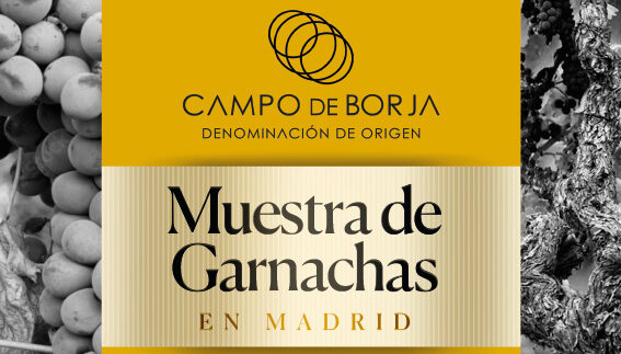Muestra de Garnachas de la DO Campo de Borja en