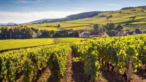 Nace Belema, el nuevo proyecto vitivinícola que revitaliza la Savoie 9 Nace Belema el nuevo proyecto vitivinicola que revitaliza la Savoie
