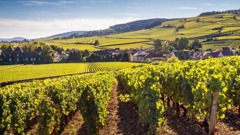Nace Belema, el nuevo proyecto vitivinícola que revitaliza la Savoie 35 Nace Belema el nuevo proyecto vitivinicola que revitaliza la Savoie