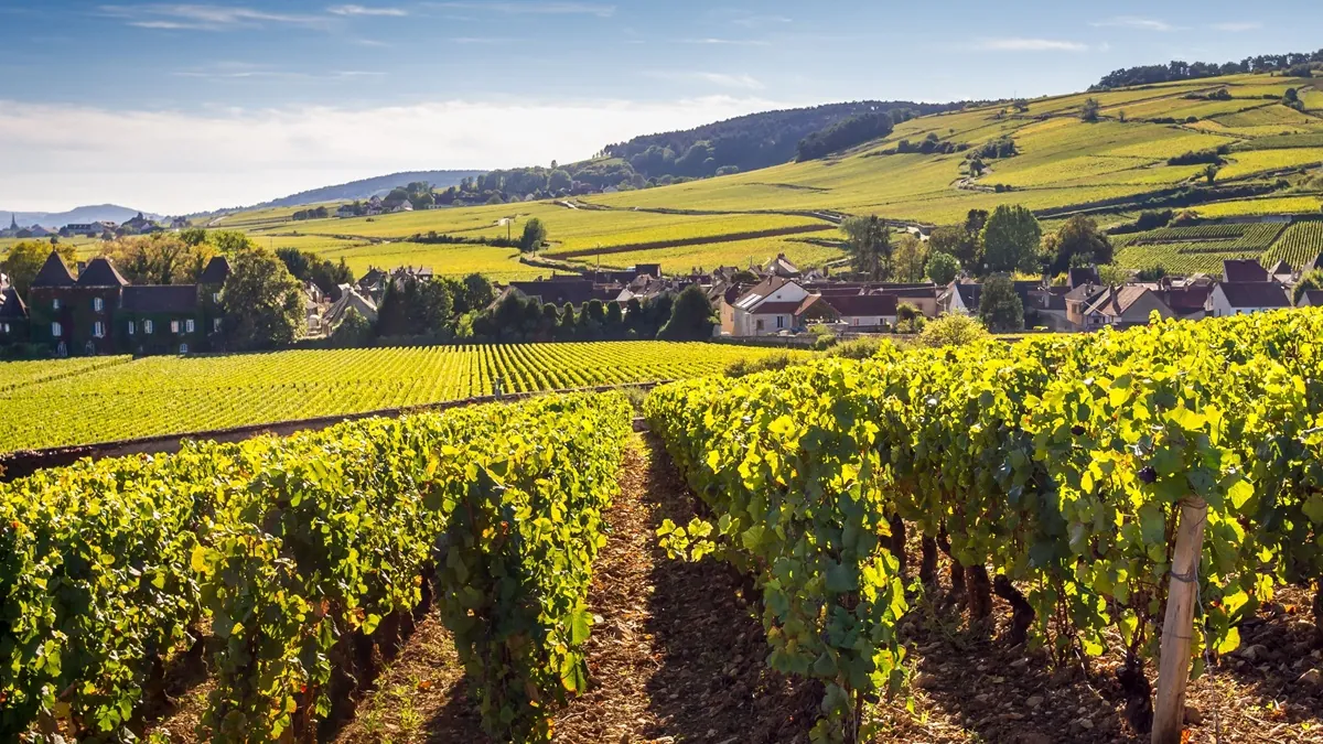 Nace Belema, el nuevo proyecto vitivinícola que revitaliza la Savoie 1 Nace Belema, el nuevo proyecto vitivinícola que revitaliza la Savoie