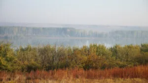 Nuevo viñedo en Bulgaria destaca por su calidad y tradición vinícola