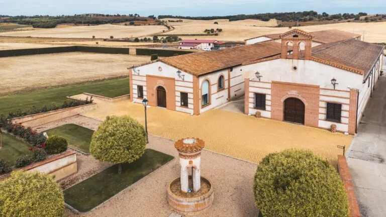 Numanthia, bodega de LVMH, logra récord histórico de ventas en España
