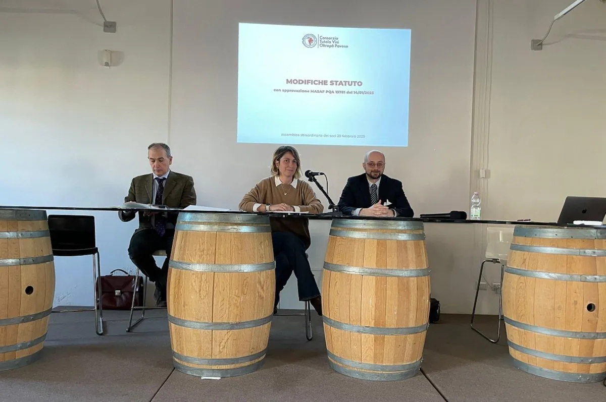 Oltrepò Pavese renueva su estatuto y recupera el nombre Classese para su vino