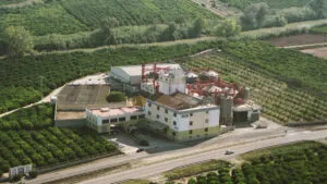 PASAMAR, de un molino de arroz en Sueca a mantener viva una tradición de más de 125 años