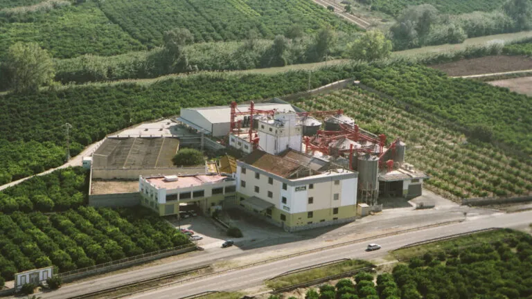 PASAMAR, de un molino de arroz en Sueca a mantener viva una tradición de más de 125 años