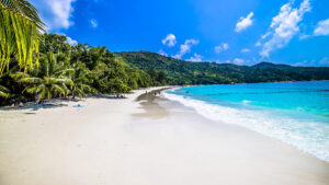 Playa rodeada por el mar y la vegetación bajo la luz del sol y un cielo azul en Praslin en Seychelles