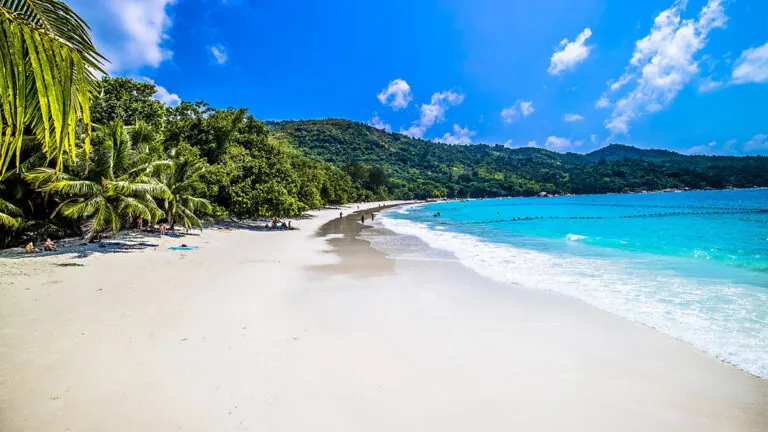 El refugio de casas de colores con vistas al mar y playas paradisíacas: «Es como vivir dentro de un decorado» 7 Playa rodeada por el mar y la vegetación bajo la luz del sol y un cielo azul en Praslin en Seychelles