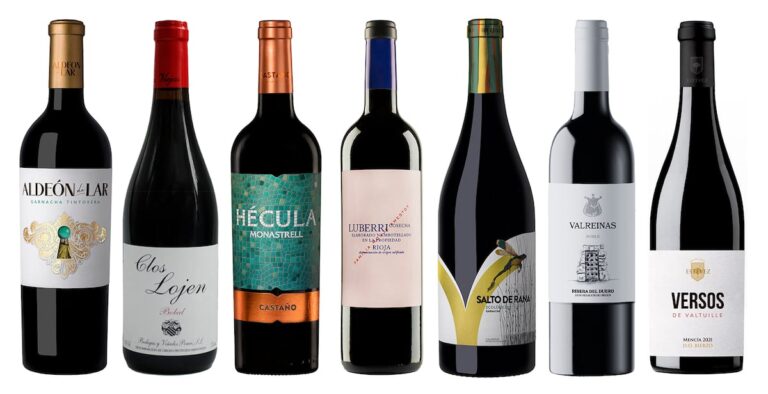 Siete vinos tintos económicos que alegrarán tu enero sin gastar de más 18 RCFDWMPPLZBBHIUXVBCRMQLYWE