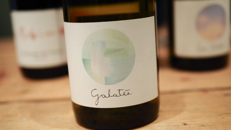 Raphaëlle Guyot, la viticultora que revive viñedos olvidados en Francia 4 Raphaelle Guyot la viticultora que revive vinedos olvidados en Francia