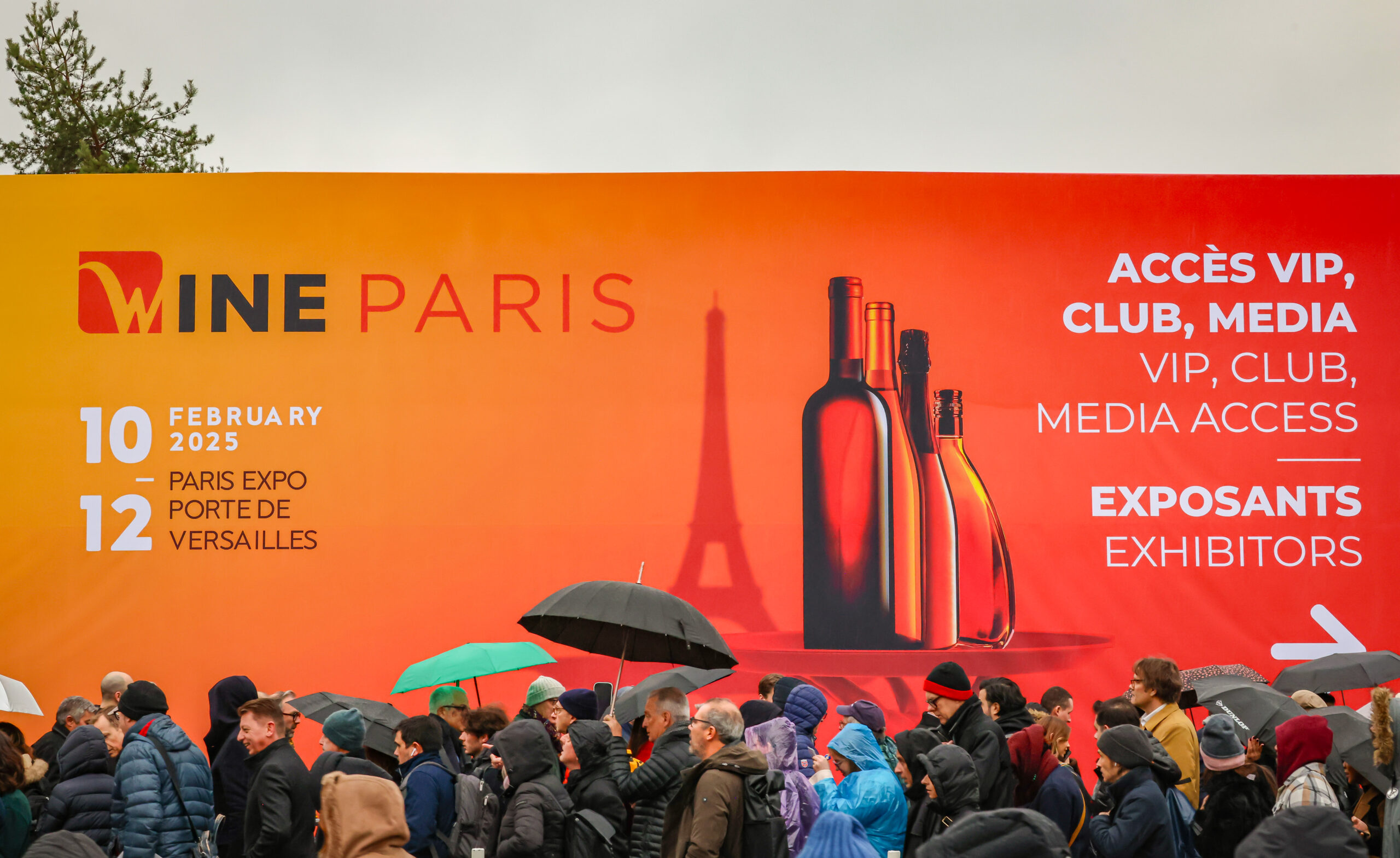 Récord de asistencia en Wine Paris con más de 52000 visitantes internacionales 1 Record de asistencia en Wine Paris con mas de 52000 scaled