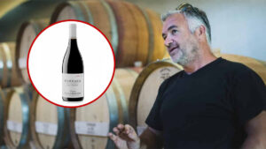 Rossignol Pommard Les Vignots 2019