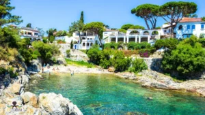 SAgaro