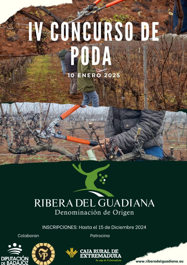 Sarah Jane Evans elogia la calidad de los vinos de Ribera del Guadiana 58 Sarah Jane Evans elogia la calidad de los vinos de
