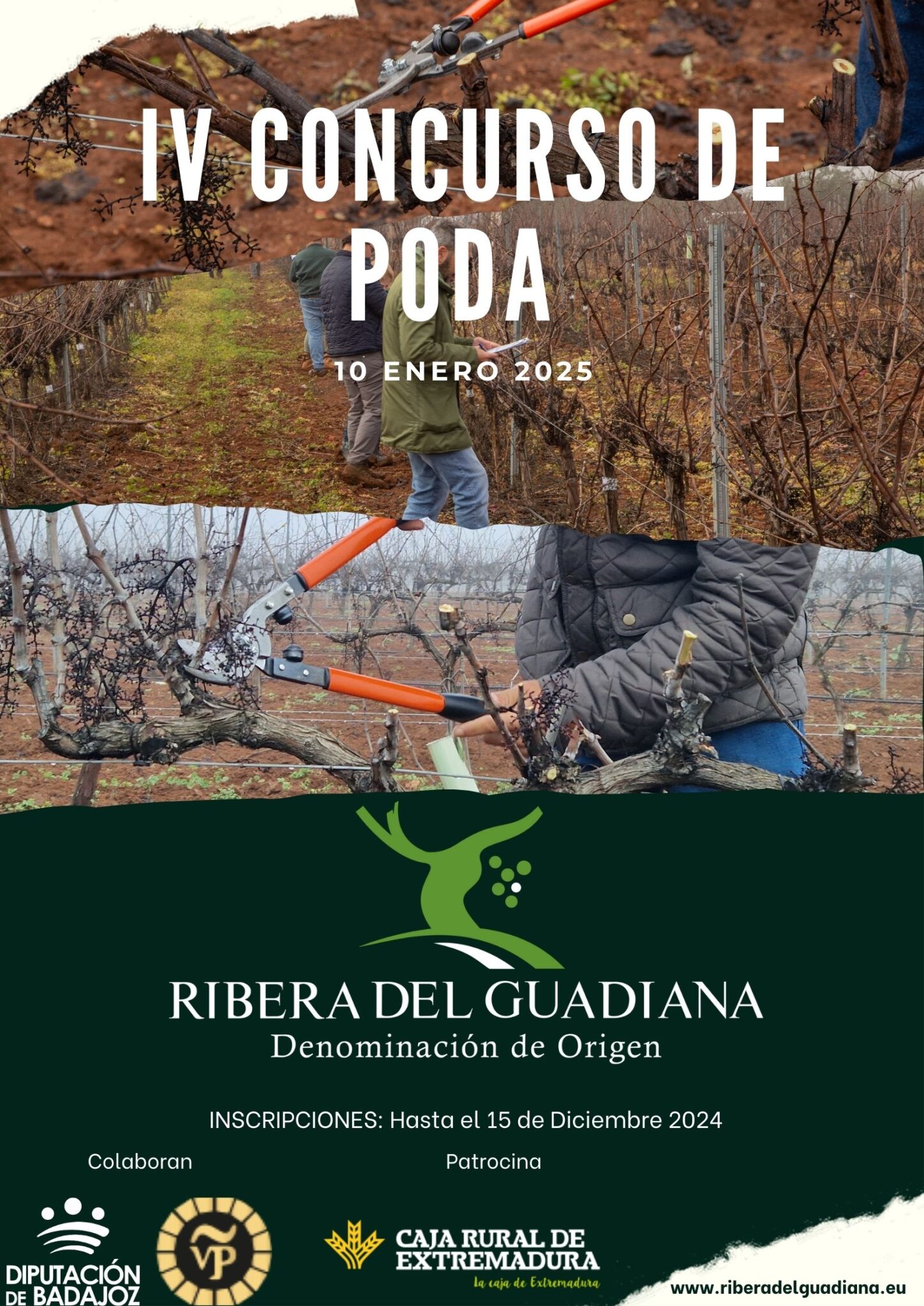 Sarah Jane Evans elogia la calidad de los vinos de Ribera del Guadiana 1 Sarah Jane Evans elogia la calidad de los vinos de scaled