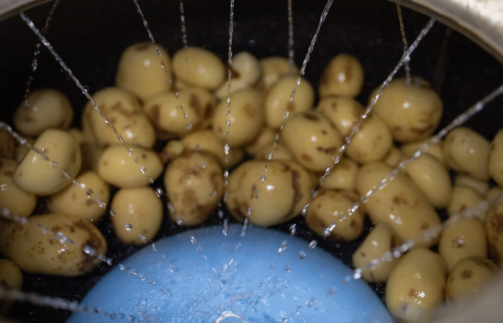 Sarriegui, de una freiduría de 15 metros en San Sebastián a vender patatas fritas en más de 30 países 3 Sarriegui 3