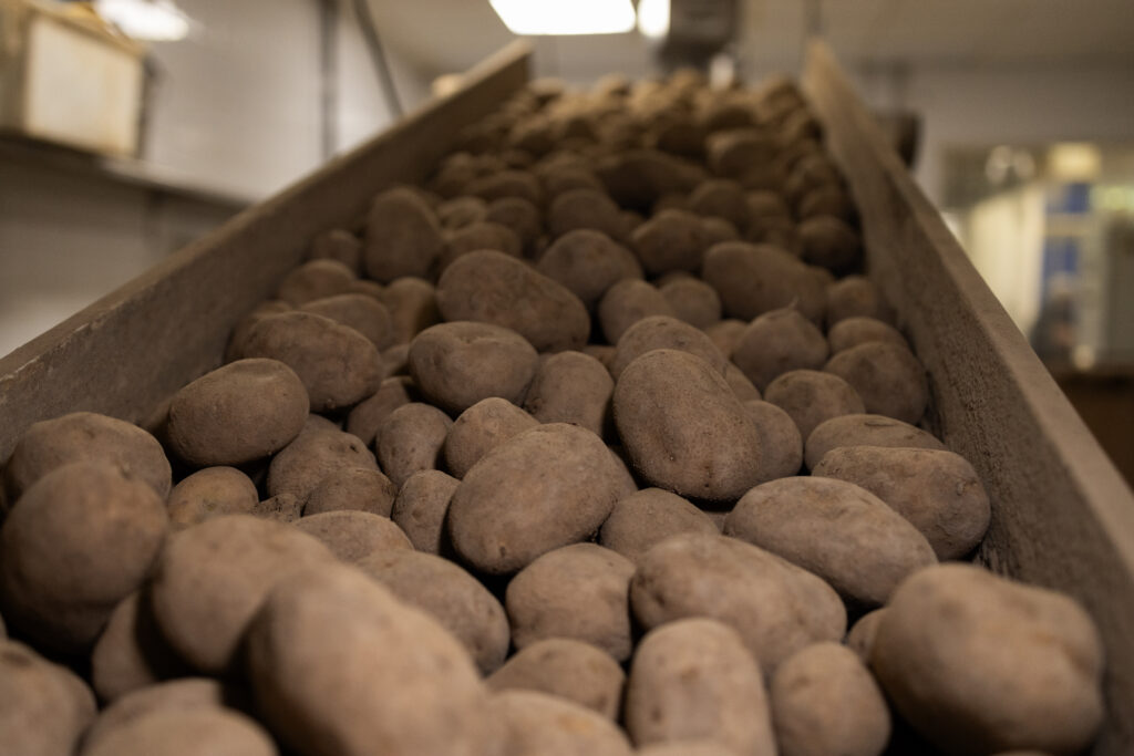 Sarriegui, de una freiduría de 15 metros en San Sebastián a vender patatas fritas en más de 30 países 5 Sarriegui 7